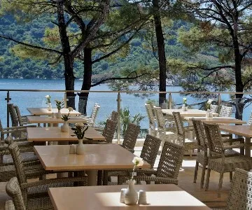 Comment aménager une terrasse de restaurant ou hôtel ?
